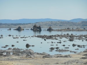 Mono Lake close up 