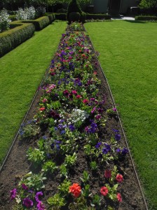 Flower bed at Temple Square 