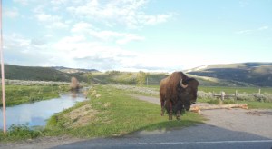 Chris makes a new friend 