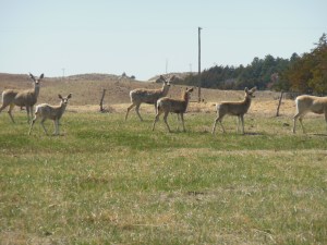 Here's looking at you number 2