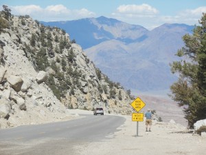 One view from Mt Whitney portal road 