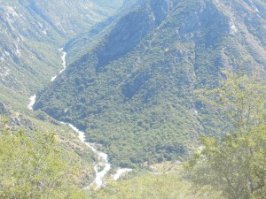 Kings River from above, two forks joining together