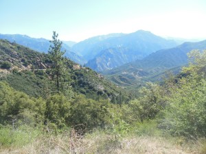 view of a portion of the road into the Canyon 