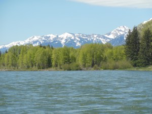 Snake RIver and the Tetons 