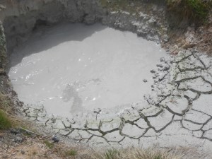 mud pot in West Thumb area