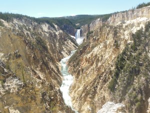 Grand Canyon of Yellowstone