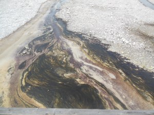 Close up of runoff from spring showing effect of varied minerals and micro-organisms