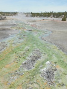 run off from thermal pool