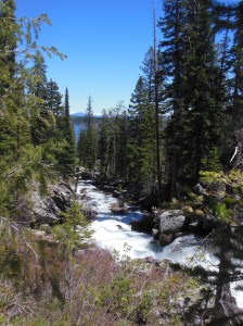 View from Hidden Falls 