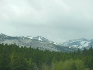 Going through the Bighorn Mountains 