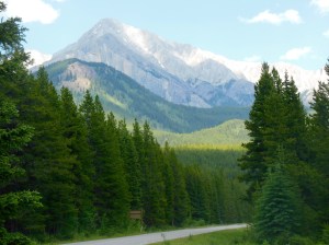 Bow Valley Parkway