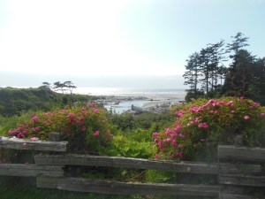 View from Kalaloch Lodge 
