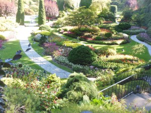 Butchart Gardens 
