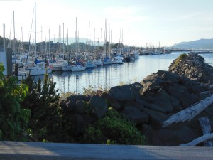 Marina in Campbell RIver 