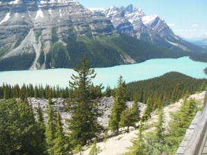 Peyto Lake with incoming water from left 