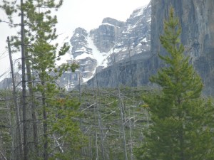 Best shot we could get of Stanley Glacier