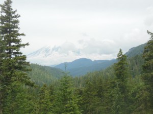 First view of Ranier from White Pass