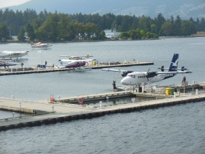 Float plane terminal 