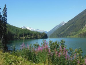 Along Duffey Lake Road in Coast Mtns 