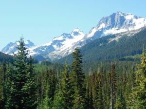 Glaciers along Duffy Lake Road in Coast Mtns 