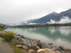 Moose Lake in Canadian Rockies on way to Jasper 