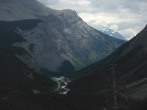 Along the icefields parkway 