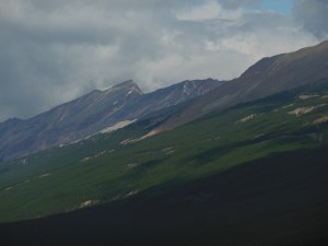 Along the Icefields Parkway 