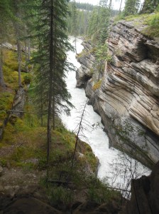 Athabasca falls 