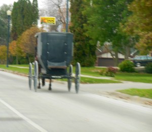 Horse and buggy in SE MN 
