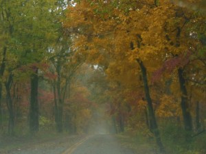 Driving through Pea Ridge National Battlefield 