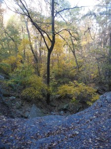 Devils Den State Park 