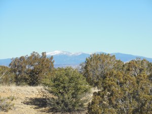 Mt Taylor in the background 