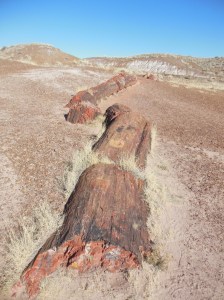 Petrified Forest