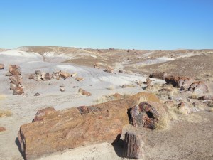 Petrified Forest