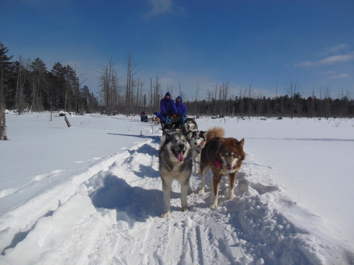 Chris and Ed and our team