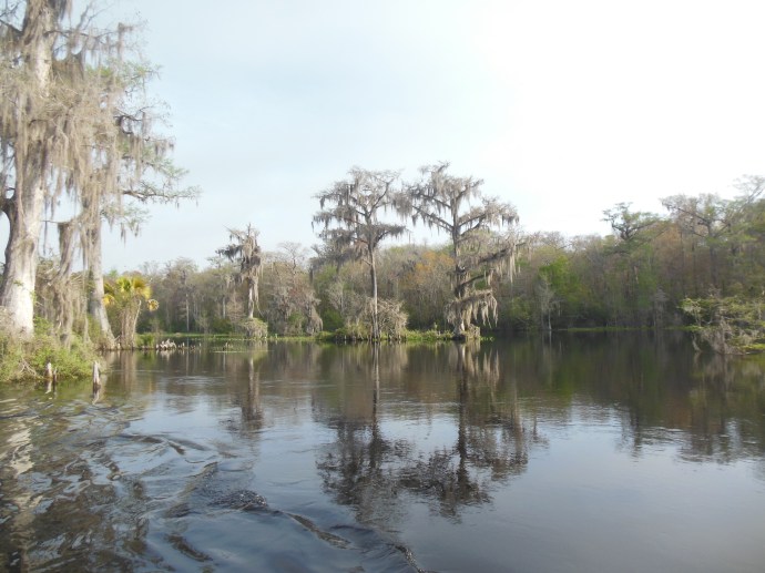 Wakulla Springs State Park