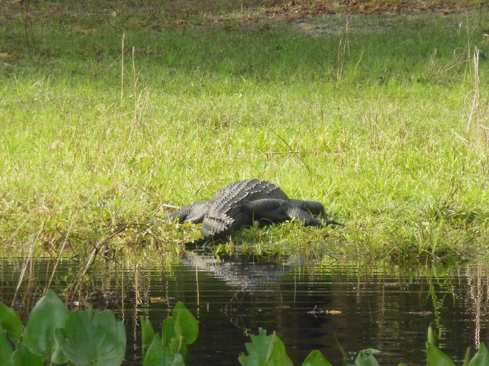 Wakulla Springs State Park