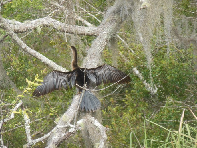 Wakulla Springs State Park