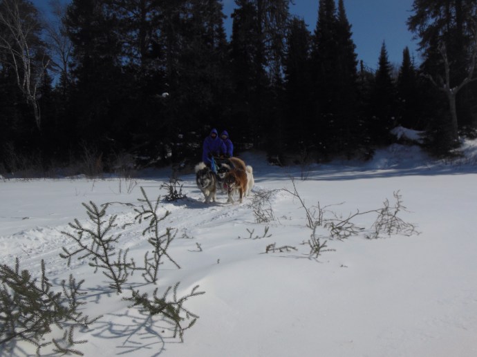 Coming onto the  lake from the woods
