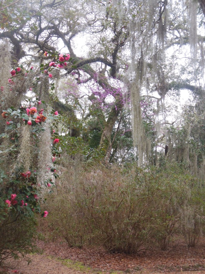 Part of the grounds for Rosewood