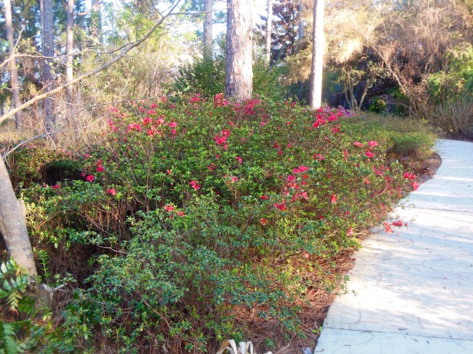 Mobile Botanical Gardens