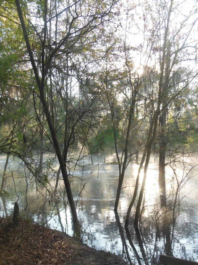 Suwanee River 