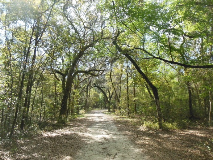 walking in Stephen Foster Folk Culture Center State Park