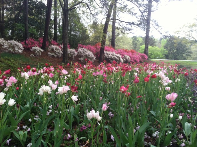 Callaway Gardens