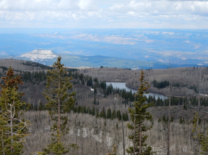 Along the Grand Mesa scenic byway