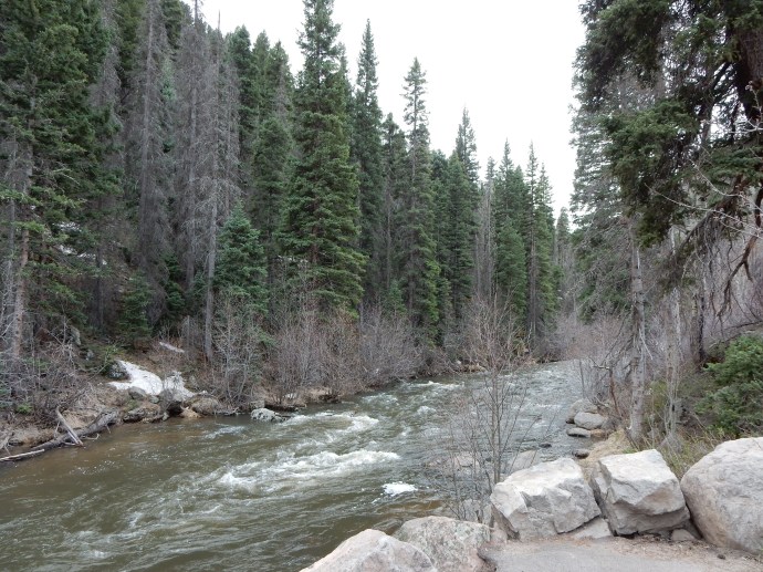 Along San Juan river driving to Durango