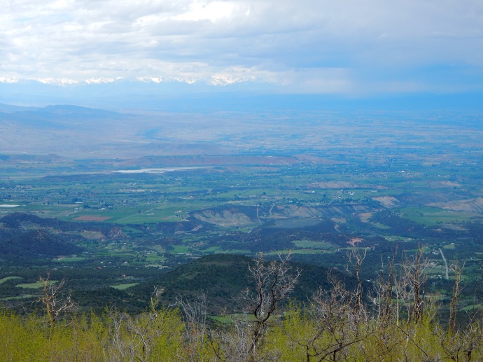 Looking down on Uncompahgre valley