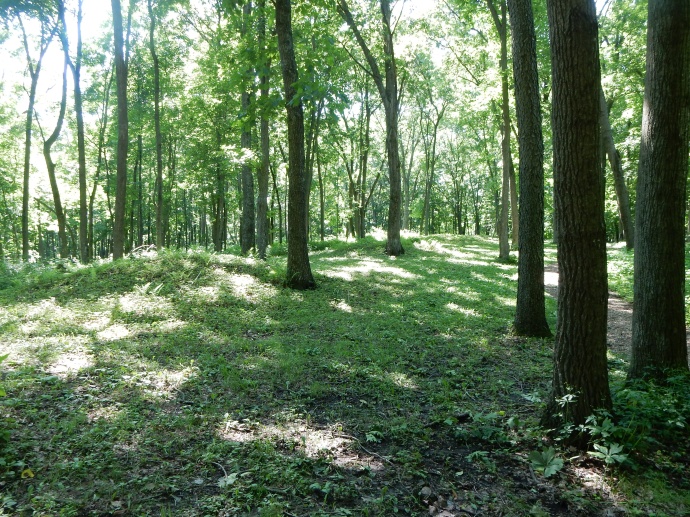 Two of the mounds in Effigy Mound National Monument, IA
