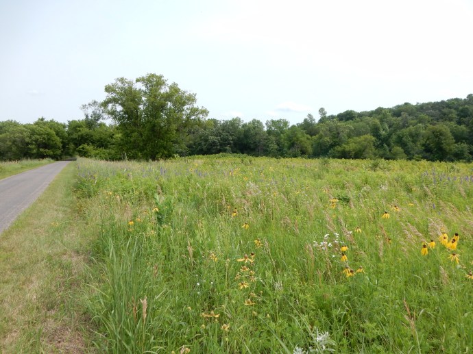Along the Cannon Valley MN Trail