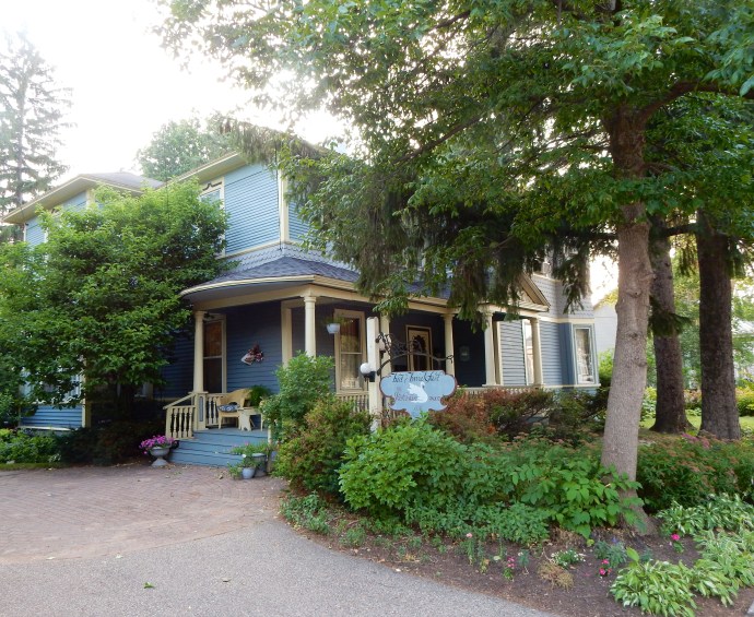 A Victorian Swan on Water